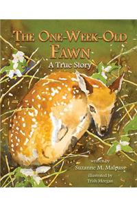 The One Week-Old Fawn: A True Story