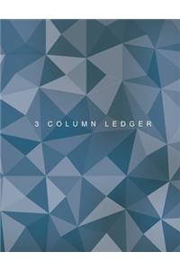3 Column Ledger