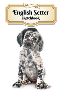 English Setter Sketchbook