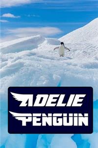 Adelie Penguin