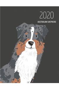 2020 Australian Shepherd