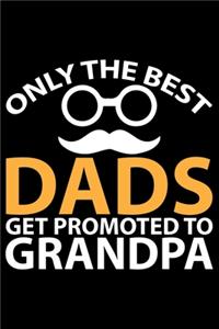 Only The Best Dads Get Promoted To Grandpa