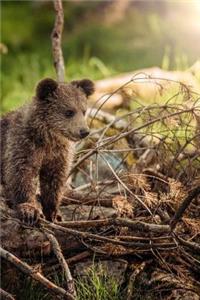 Bear Cub Notebook