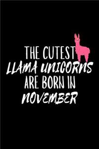 The Cutest Llama Unicorns Are Born In November