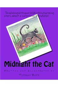 Midnight the Cat