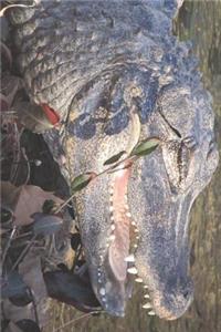 Chinese Alligator in the Water Journal