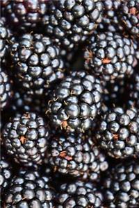 Do You Love Blackberries? Journal