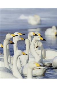 Winter Theme School Composition Book Gaggle Geese 130 Pages
