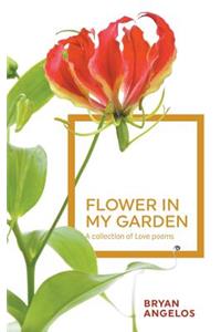 Flower in my Garden