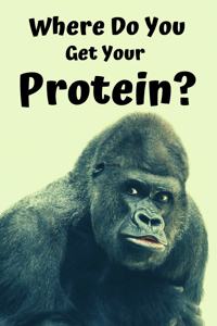 Where Do You Get Your Protein