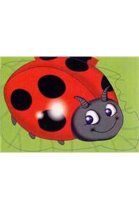 Ladybird