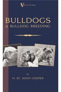 Bulldogs and Bulldog Breeding (A Vintage Dog Books Breed Classic)
