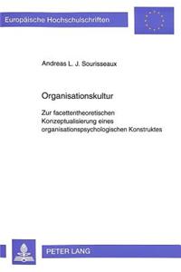 Organisationskultur