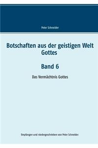 Botschaften aus der geistigen Welt Gottes Band 6