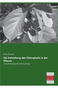 Entstehung Des Chlorophylls in Der Pflanze