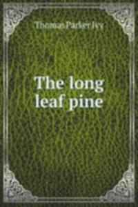 long leaf pine