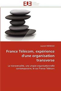 France Télécom, Expérience d''une Organisation Transverse