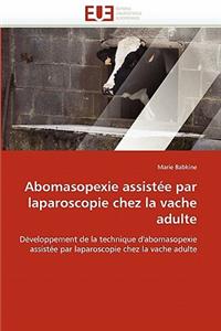 Abomasopexie Assistée Par Laparoscopie Chez La Vache Adulte