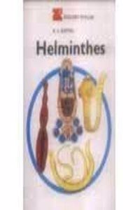 Helminthes (Zoology Phylum-4)