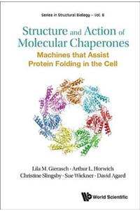 Structure and Action of Molecular Chaperones