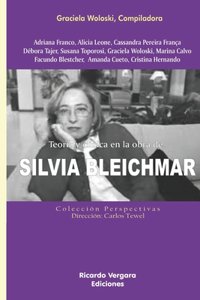 Teoría y clínica en la obra de Silvia Bleichmar