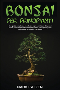 Bonsai per principianti
