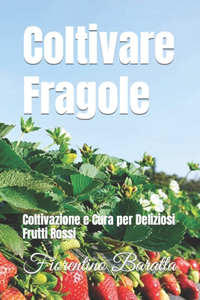 Fragole in Fiore