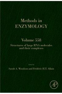 Structures of Large RNA Molecules and Their Complexes: Volume 558
