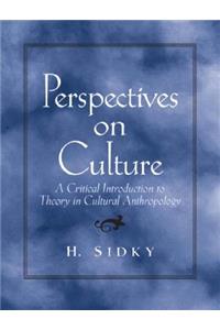 Perspectives on Culture: A Critical Introduction to Theory in Cultural Anthropology