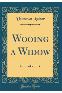 Wooing a Widow (Classic Reprint)