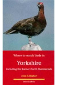 Where to Watch Birds in Yorkshire