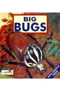 Big Bugs