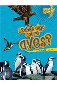 ¿sabes Algo Sobre Aves? (Do You Know about Birds?)