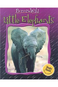 Little Elephants