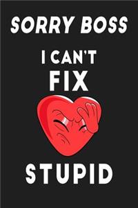 SORRY BOSS I Can't FIX STUPID
