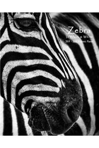 Zebra in Black & White 2019-2020 Academic Planner
