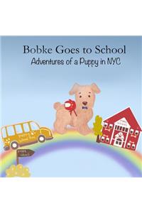 Bobke Goes to School