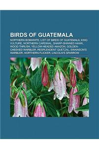 Birds of Guatemala