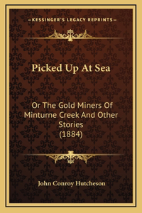 Picked Up At Sea
