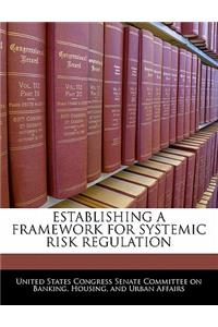 Establishing a Framework for Systemic Risk Regulation