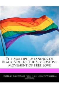 The Multiple Meanings of Black, Vol. 16