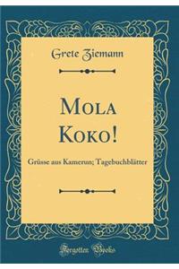 Mola Koko!: Grï¿½sse Aus Kamerun; Tagebuchblï¿½tter (Classic Reprint)