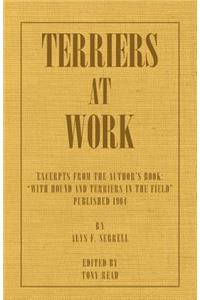 Terriers at Work