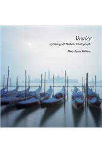 Venice A Gallery of Pinhole Photographs