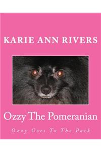Ozzy The Pomeranian
