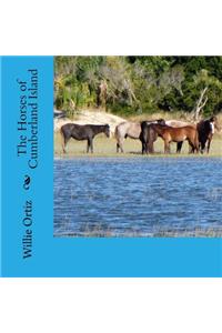 The Horses of Cumberland Island