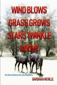 Wind Blows Grass Grows Stars Twinkle Above: An Injin Action Adventure Novel