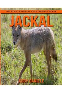 Jackal! An Educational Children's Book about Jackal with Fun Facts & Photos