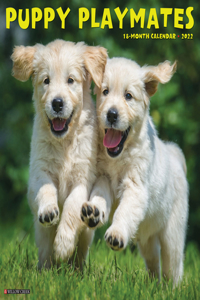 Puppy Playmates 2022 Wall Calendar