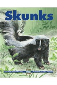 Skunks
